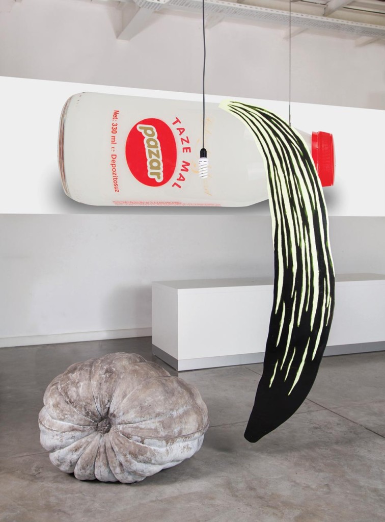 Installation-1-website