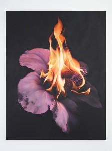 nir