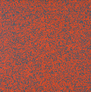 Morellet_web