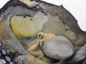 unnamed (3)