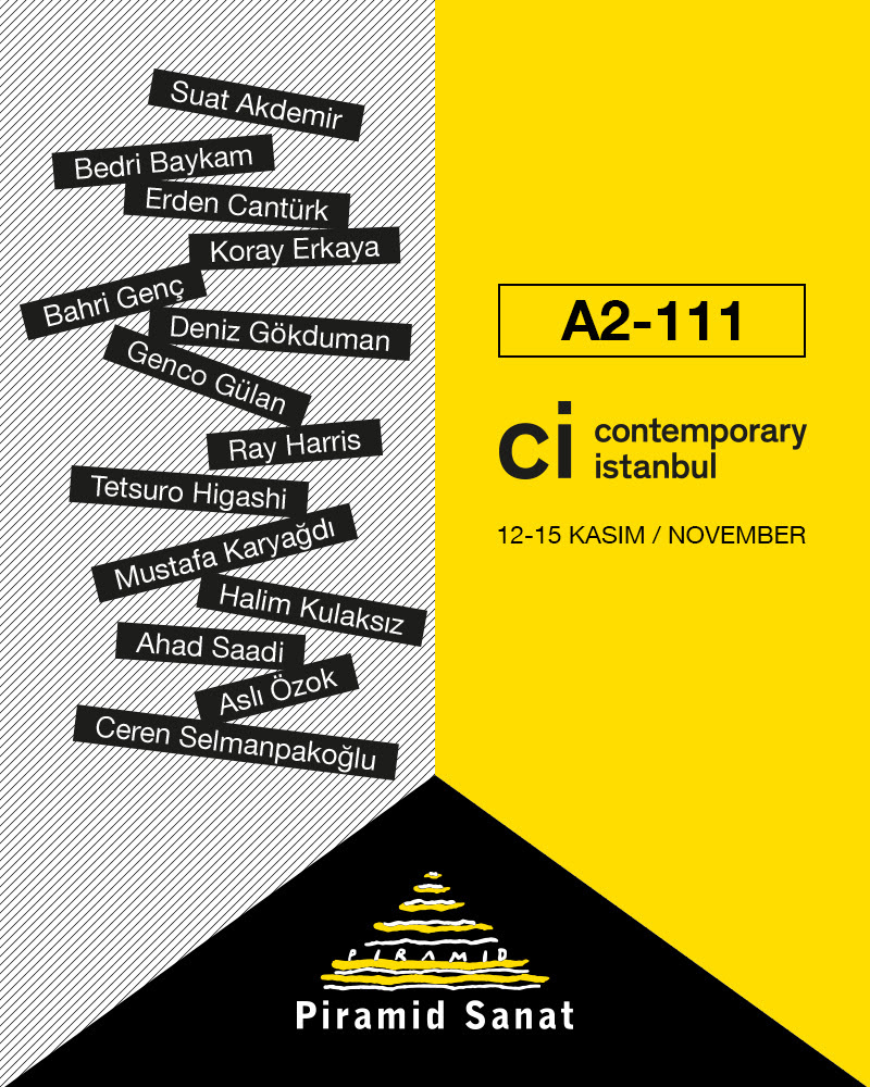 ci15.