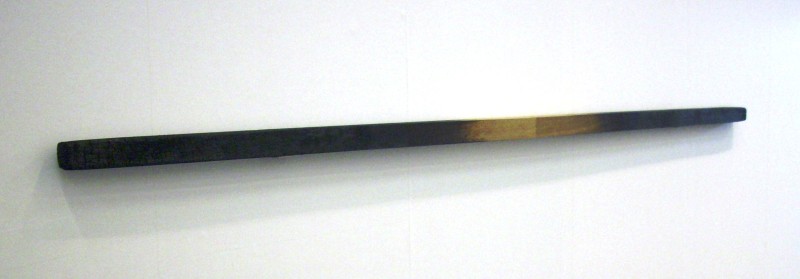 DSCI0153