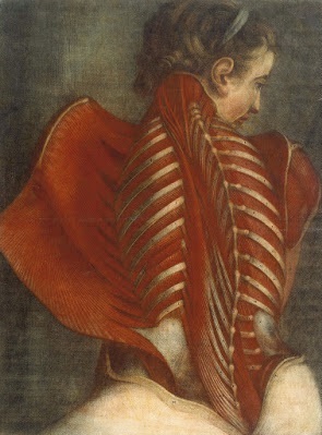 Jacques Fabien Guitier L'ange Anatomique