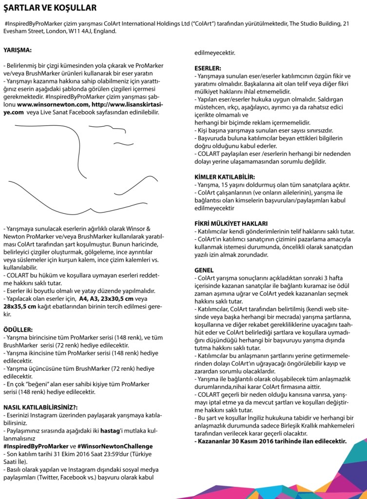Şartlar ve Koşullar kopya pdf versiyon 3 sayfa