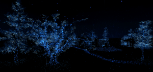 Korluk Uzerine Notlar_Notes On Blindness