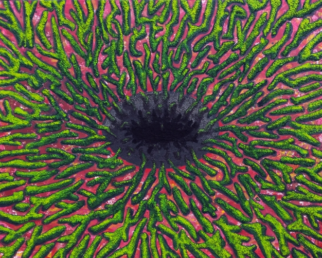 (Görsel 5) “Karadelik”, 130 x 160 cm, tuvale akrilik, talaş, yün, 2016-17.