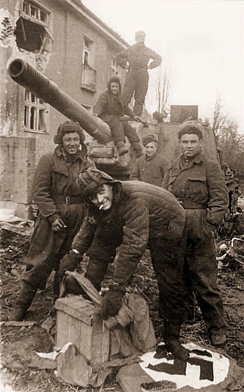 31c1ce55ea3aa84bad18bfbae2ffafbd--isu--ww-tanks