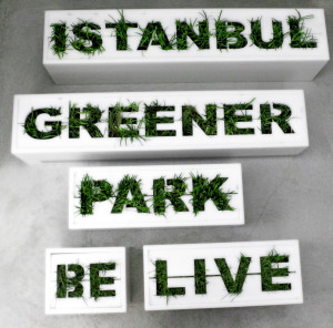 11_meriçkara