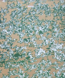 D.ERBİL-KUŞLAR-T.Ü.SERİGRAFİ BASKI-150x 50CM-2007